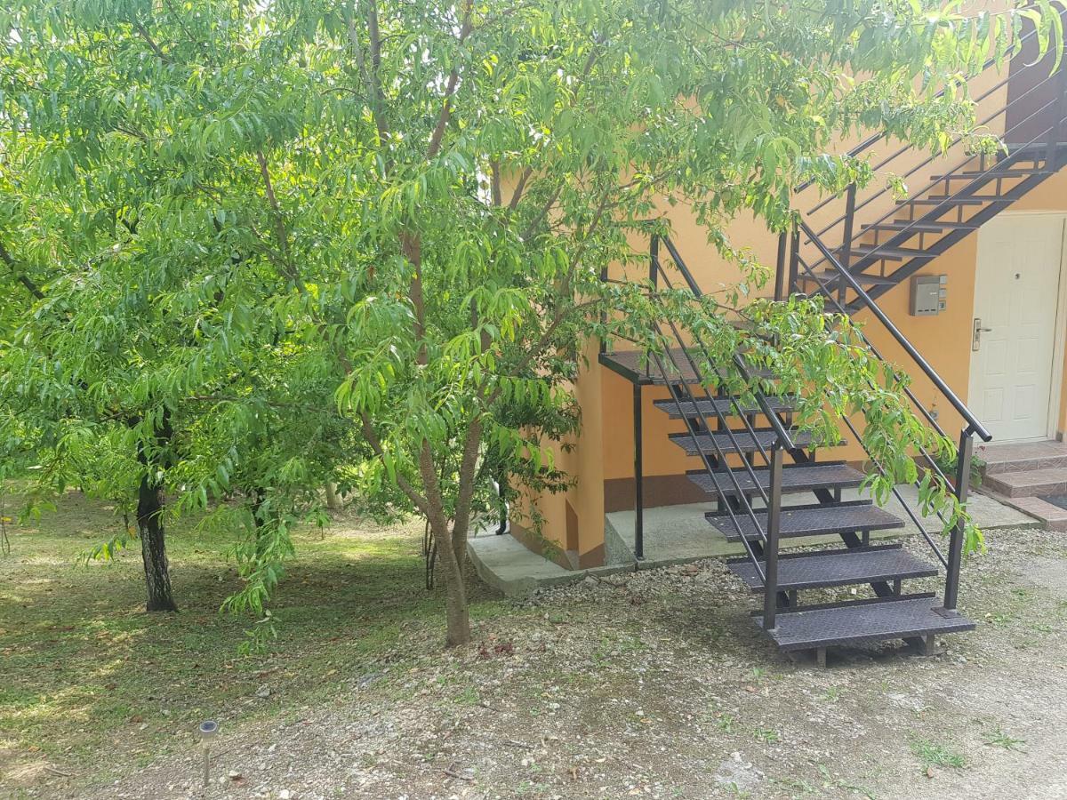 Apartment 2