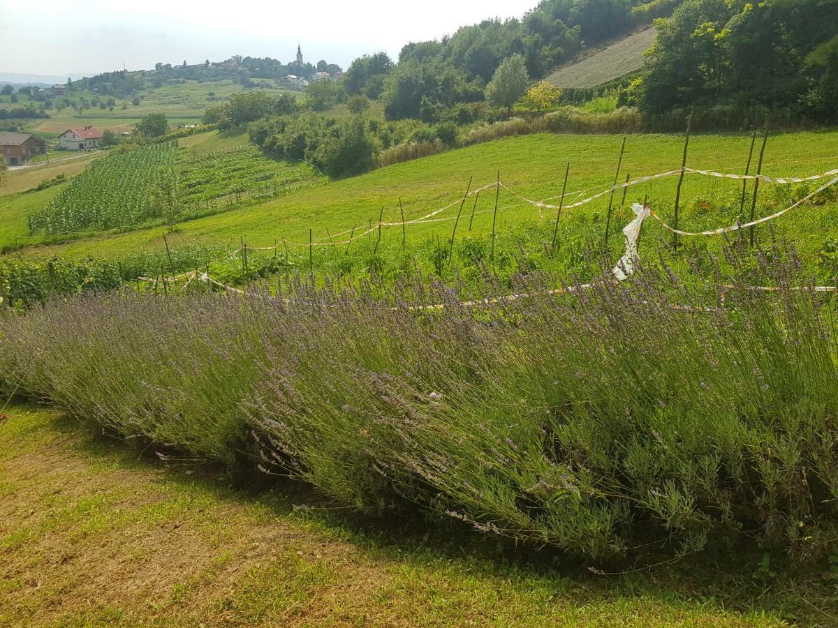 2 * Krapina